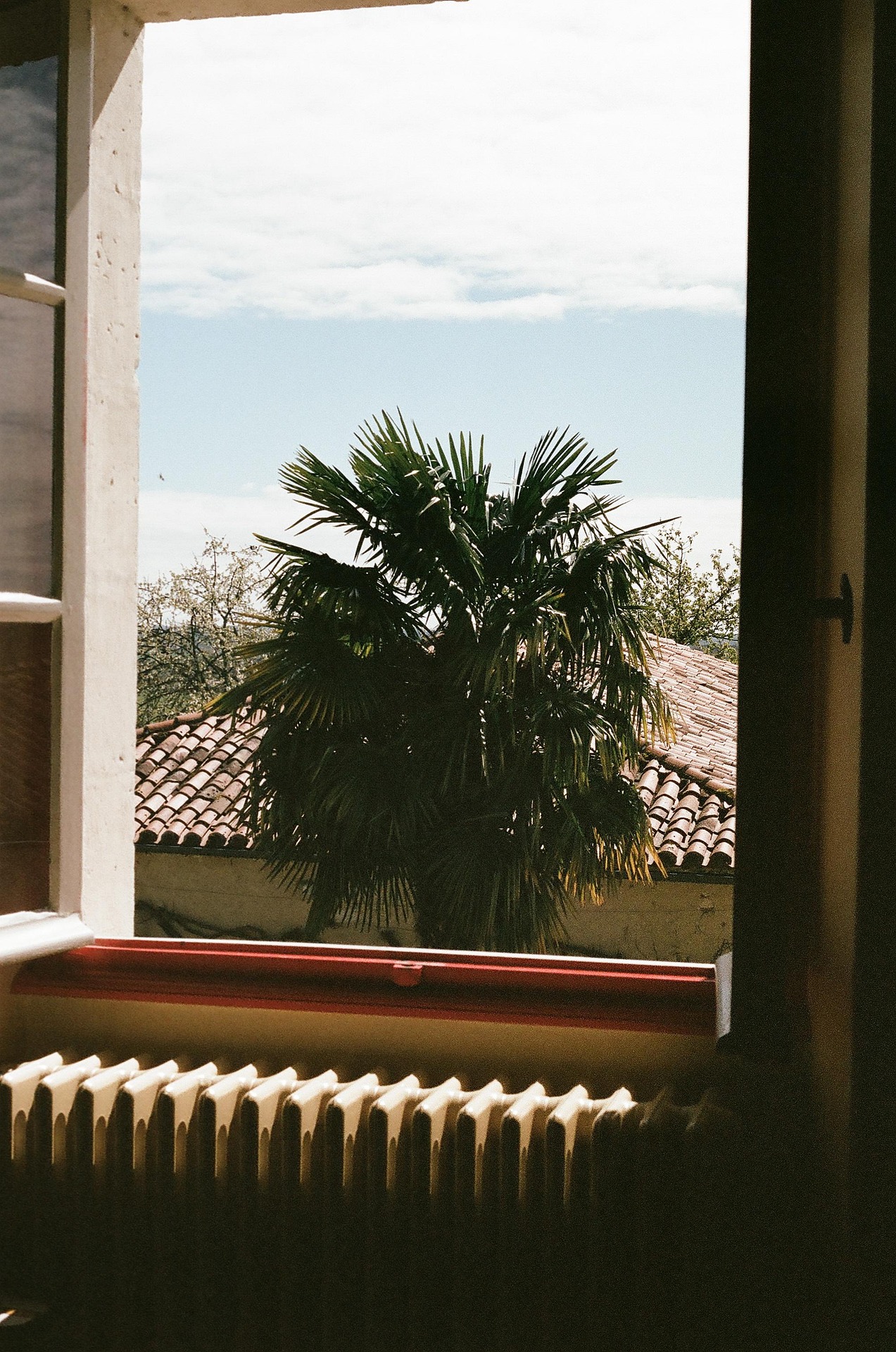 Fenêtre ouverte avec vue sur un palmier